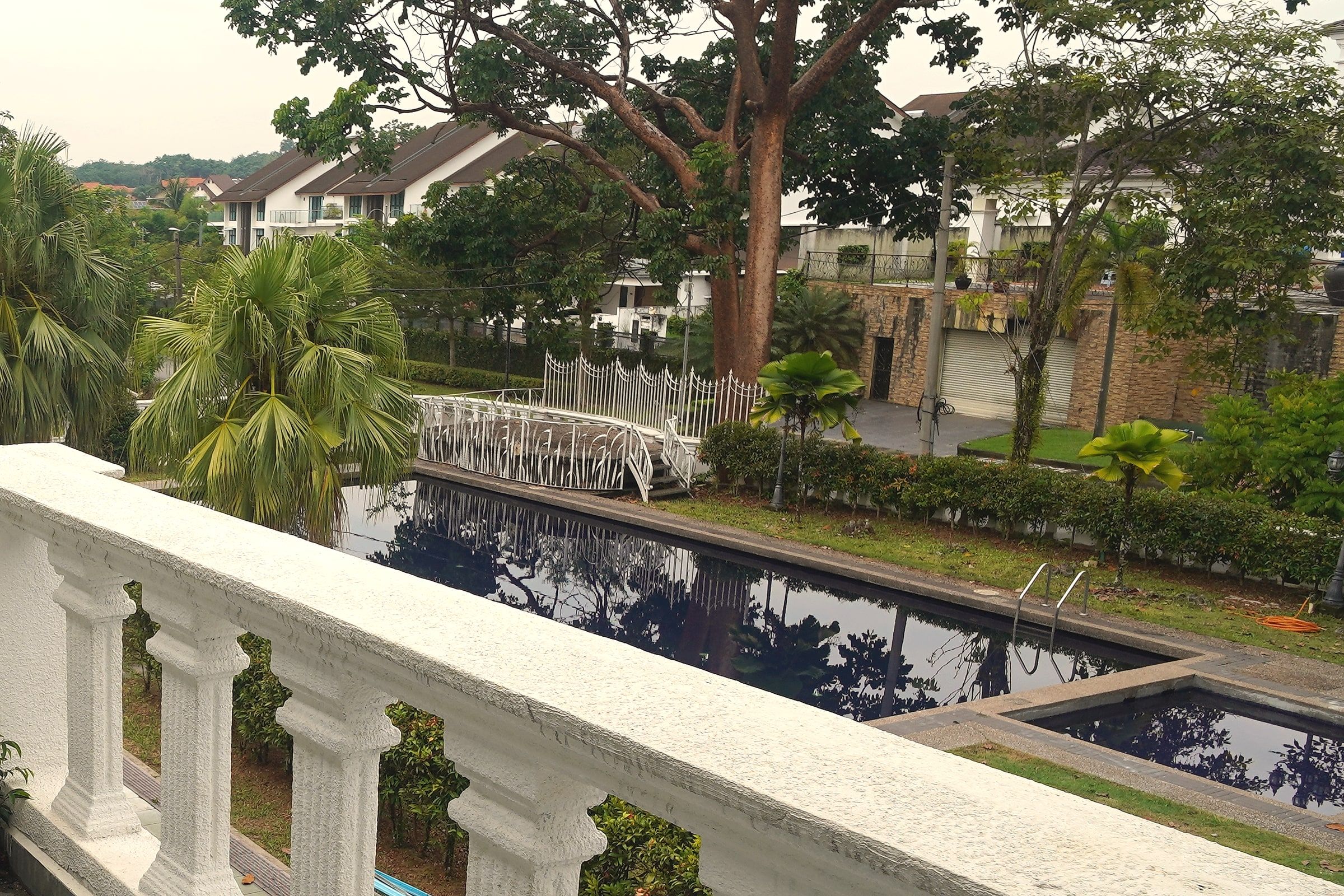 Rain tree, palms, lawn and the pool seen from the terrace of Trivelle Living