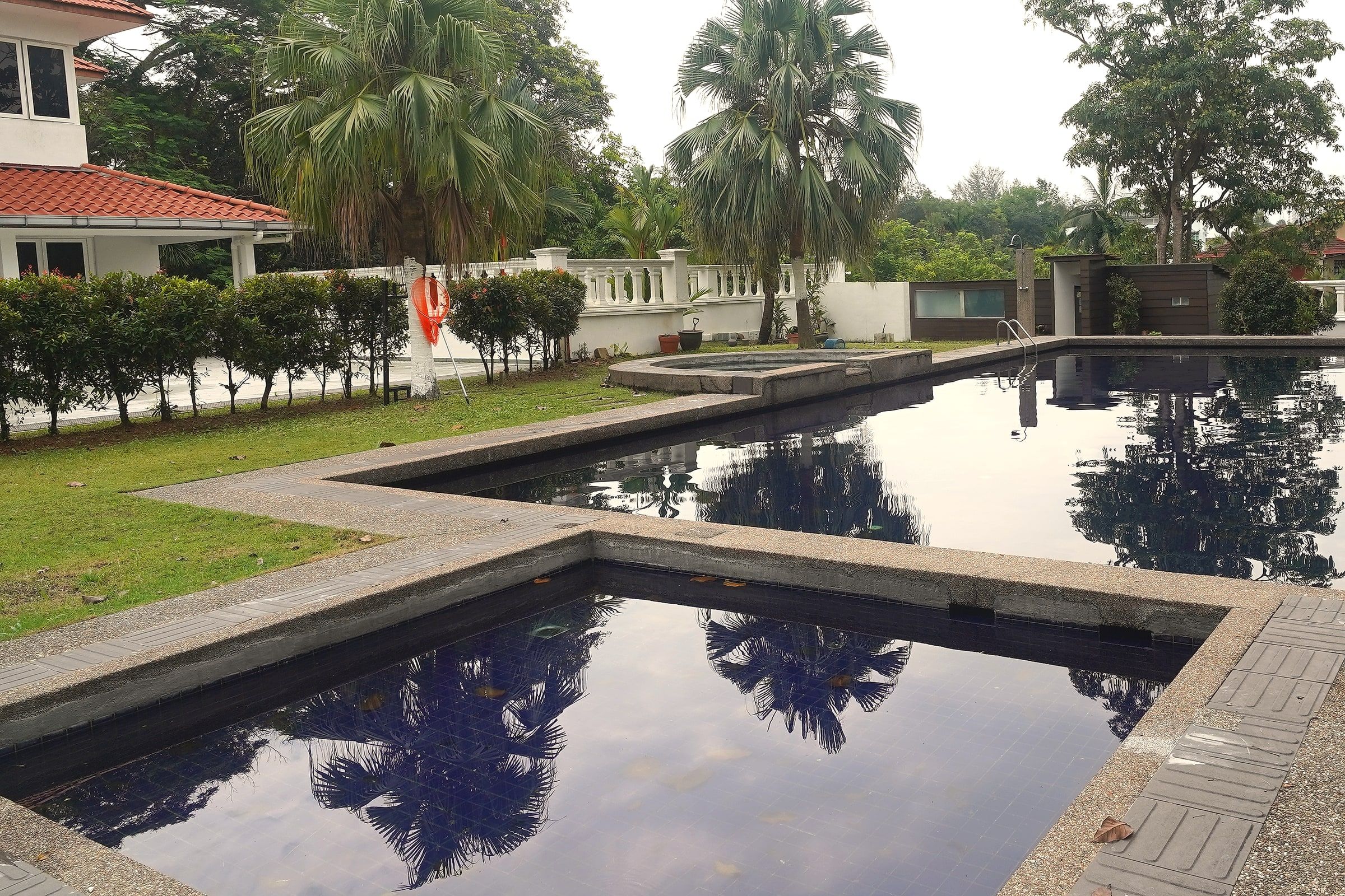 The long pool and lawns of Trivelle Living seen from the house, with fan palms and mature trees